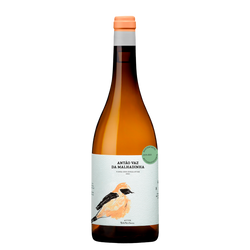 Vinho Branco Antão Vaz Malhadinha Vinha Da Peceguina 75Cl
