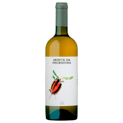 Vinho Branco Monte Da Peceguina 2022 1.5Lt 13.5º