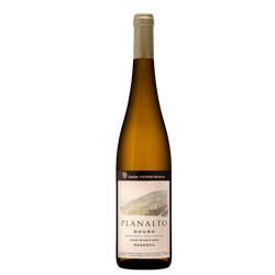 Vinho Branco Planalto 12.5º 75Cl (Cx6)