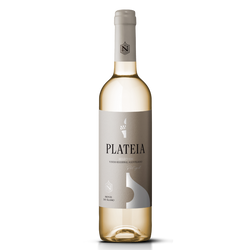 Vinho Branco Plateia 75Cl (Cx6)
