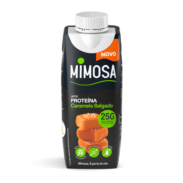 Leite Mimosa Prot. S/Lactose Caramelo Salgado 200Ml (Cx24)
