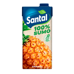 Santal 100% Ananas 1 Litro (Cx6)