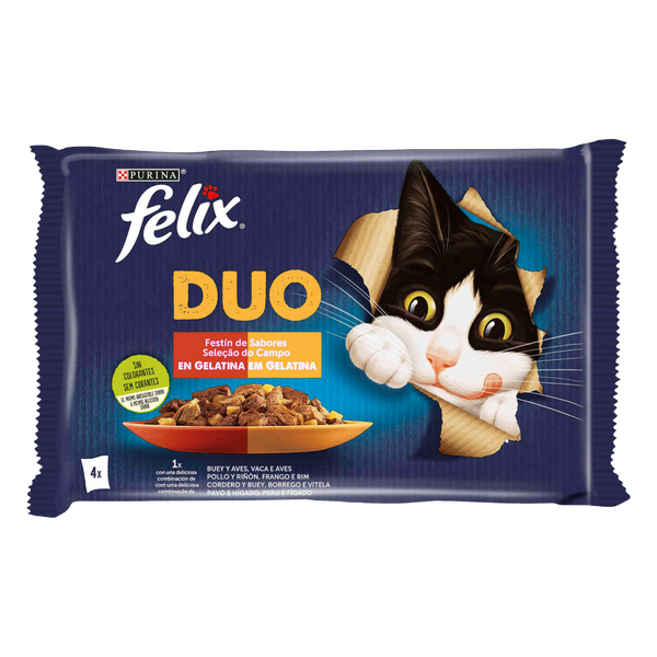 Gato Humido Felix Fantastic Duo Saborosa Seleção 4X85Grs