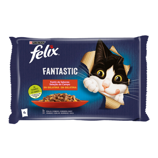 Gato Humido Felix Pedaços Gelatina Seleção Campo 4X85Gr Cx12