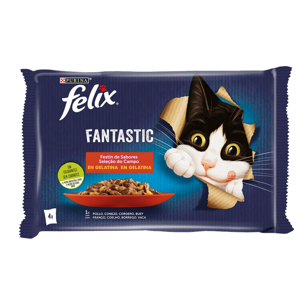 Gato Humido Felix Pedaços Gelatina Seleção De Carne 4X85Grs