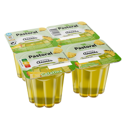 Pastoral Gelatina Ananas 4X100G