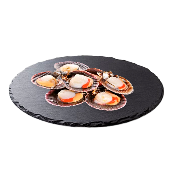 Vieira Pacifico Meia Concha 10/20 Cong 1Kg 20% Vidragem Cx10