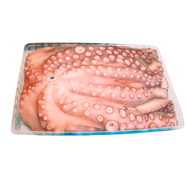 Polvo Algarve Limpo 3 A 4Kg Inteiro 0% Vidrag. Cong. Kg