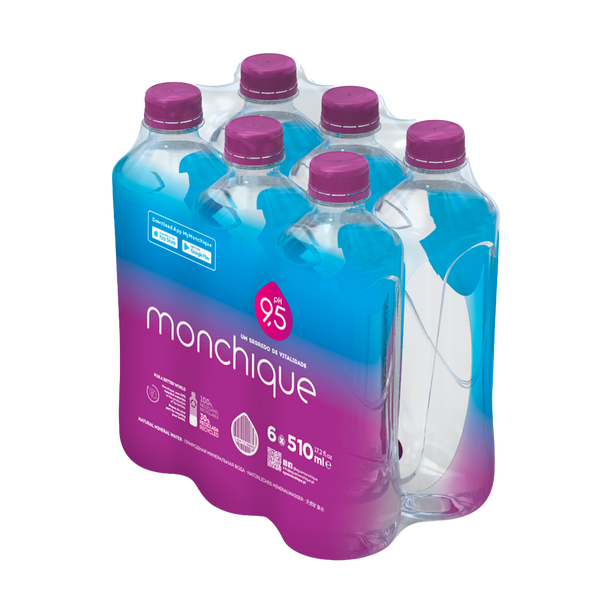 Agua Monchique Mineral 510Ml (Cx6)